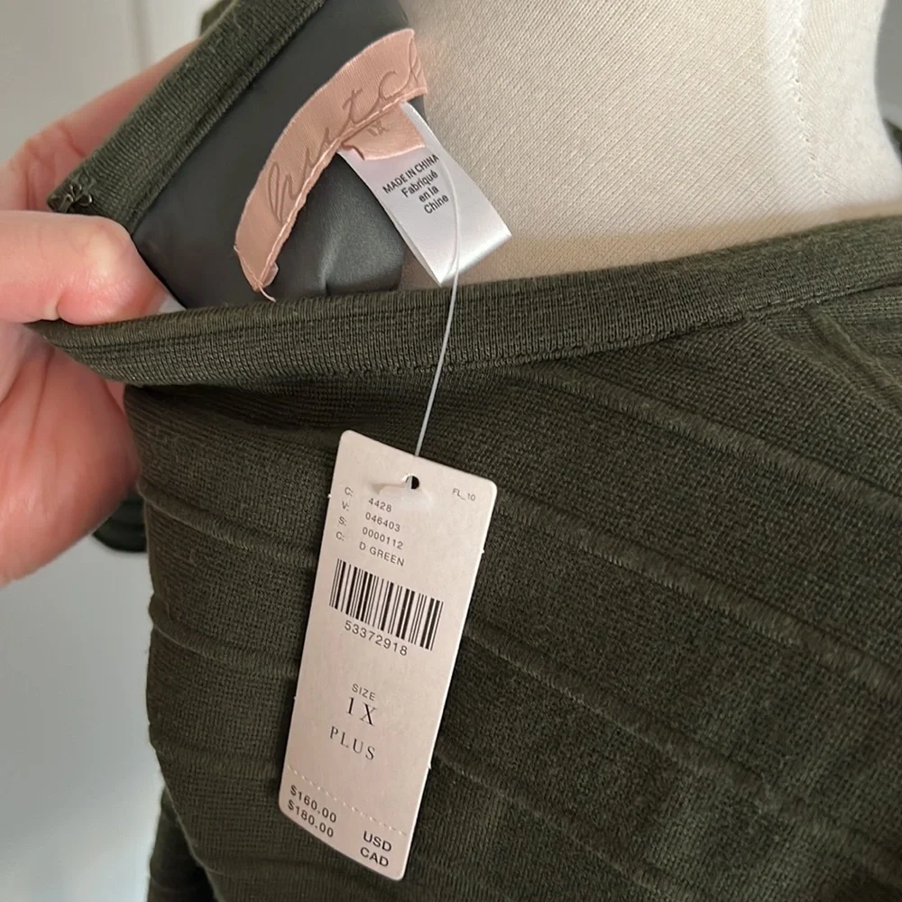 Fit and Flare Plus Green Dress from Anthropologie in 1X - Picture 6 of 7